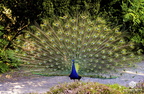 16.05.2025 Botanischer Garten Köln56