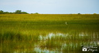 03.07.2019 Everglades Nairi + Shark Valley-77