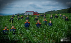 24.06.2018 Feuerwehr Gilzem-111